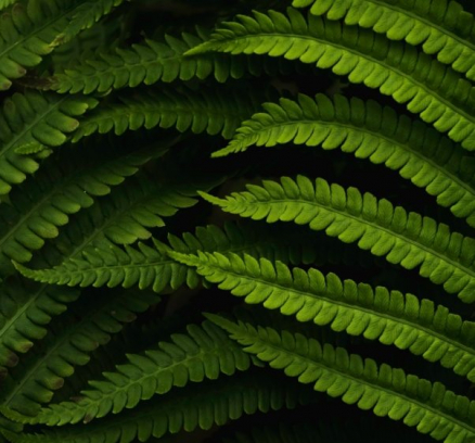 daniel-mirlea-fxiAxNLpoqI-unsplash@2x