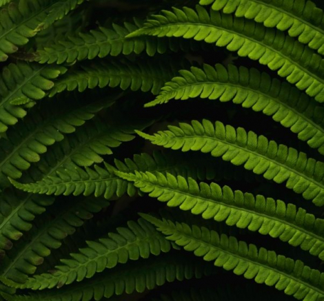 daniel-mirlea-fxiAxNLpoqI-unsplash@2x