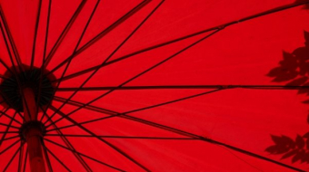 loic-furhoff-YERwza88a0o-unsplash@2x