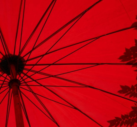 loic-furhoff-YERwza88a0o-unsplash@2x